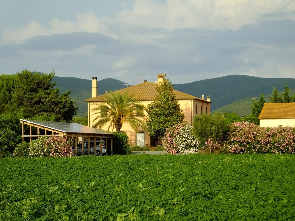 Villa Agriturismo Sant'Uberto Bolgheri Exterior foto